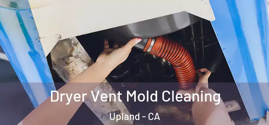 Dryer Vent Mold Cleaning Upland - CA