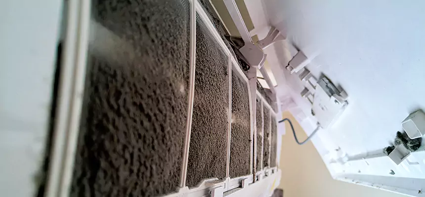 Preventive Air Duct Bacteria Removal in Upland