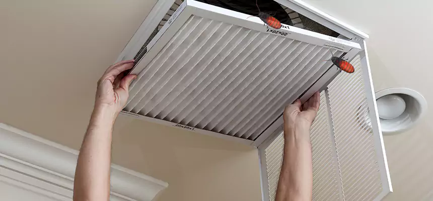 Our Insect Removal from Air Ducts Services in Upland, CA