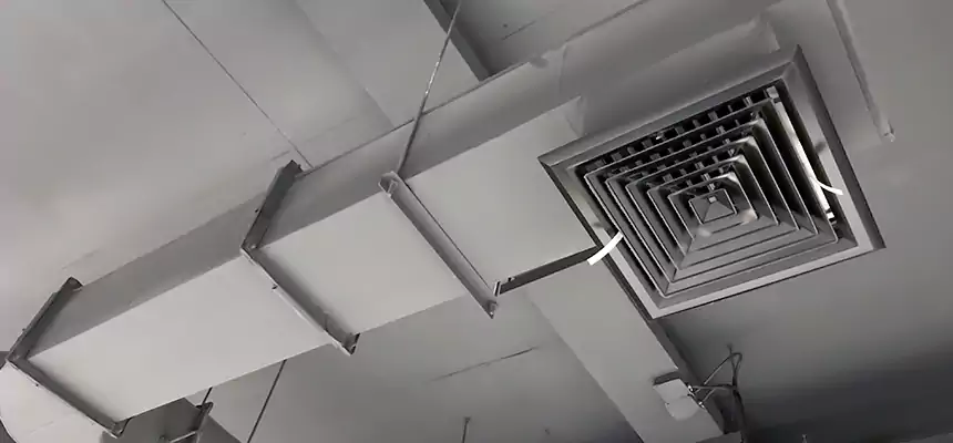 Our Pest Removal From Ducts Services in Upland, CA