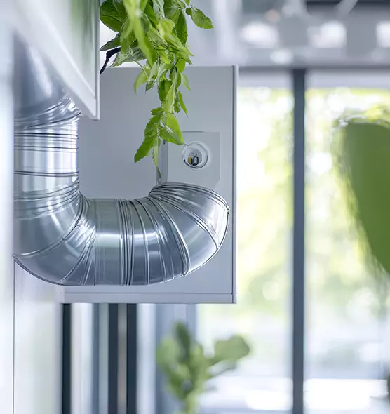 Professional Eco-Safe Dryer Vent Cleaning in Upland, CA